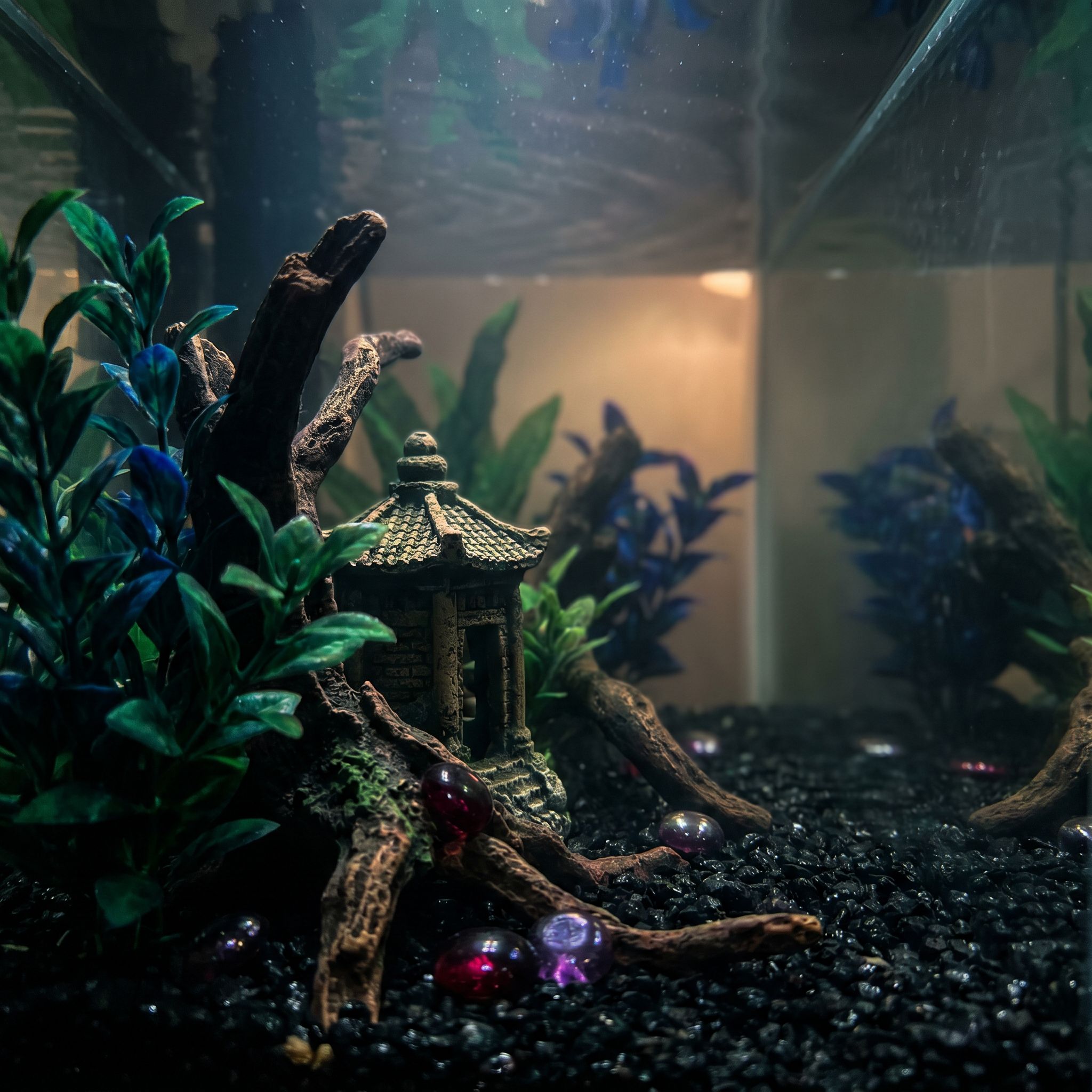 Décors éprouvés en immersion