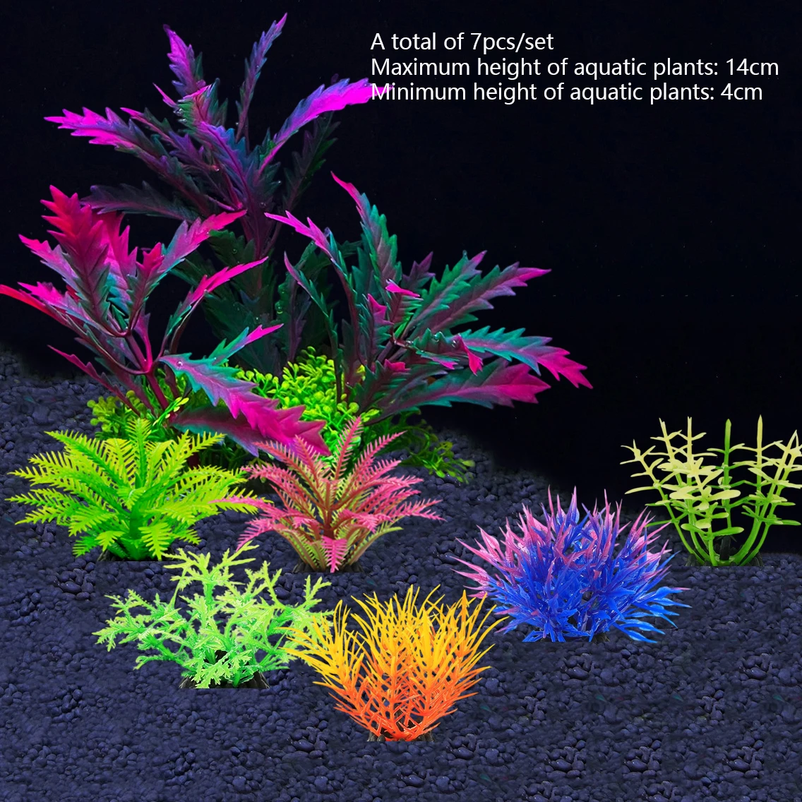 décoration aquarium poisson